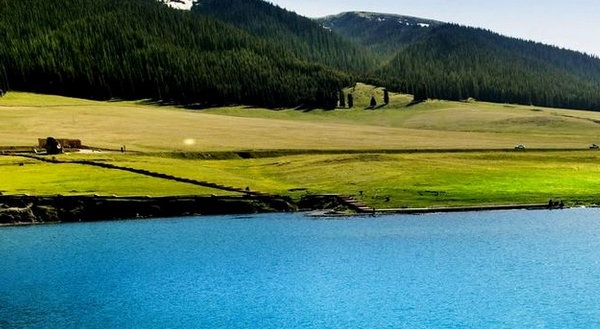 粉象生活商家注册