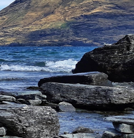 粉象生活的商品