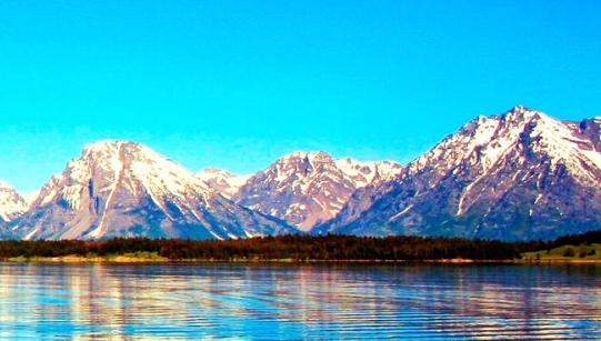 象印粉胖子和红胖子哪个好看