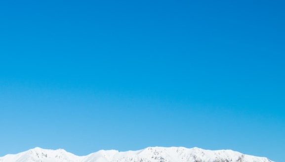 粉象生活是个什么东西