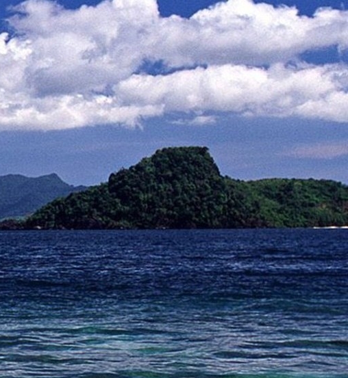 粉象生活百度知道