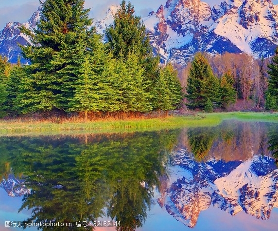 粉象生活如何购买的