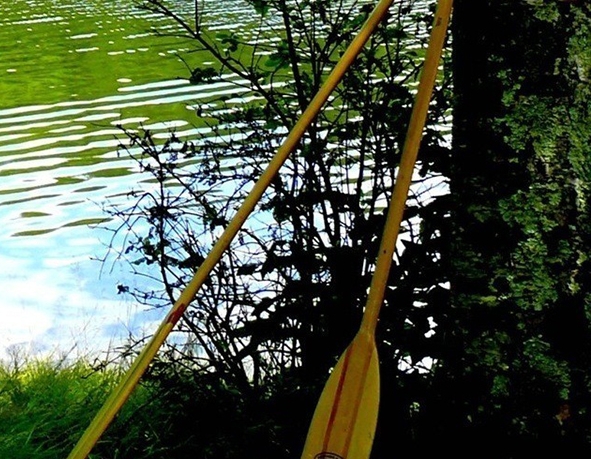 粉象生活粉丝怎么增加