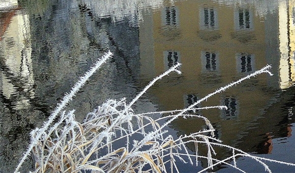 粉象生活怎么赚钱