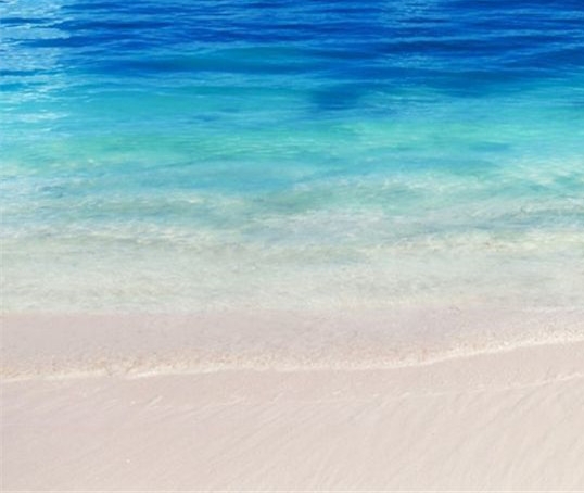 粉象邀请人报酬