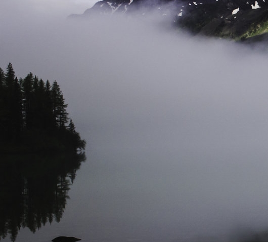 遇到诈骗如何处理