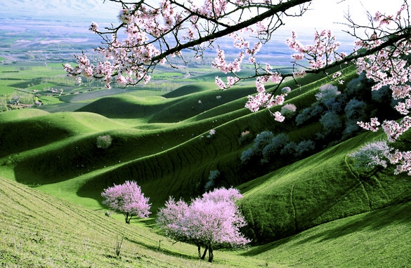 粉象生活能更改邀请人吗