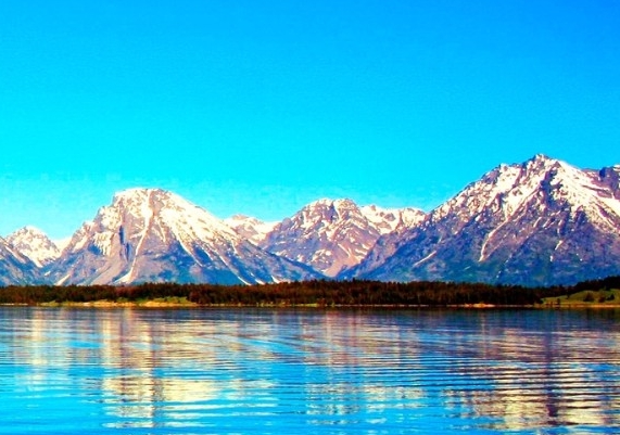 遇到粉象生活的感受