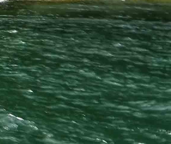 粉象优惠券是真的吗