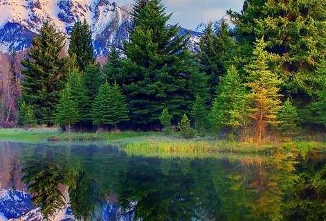 粉象生活为啥有优惠券