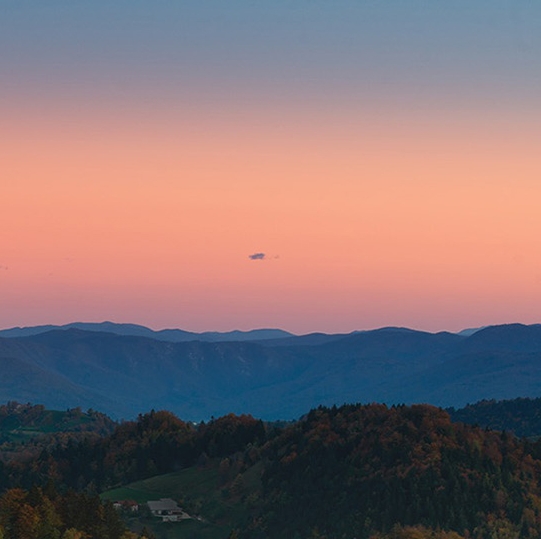 粉象粉丝裂变方式