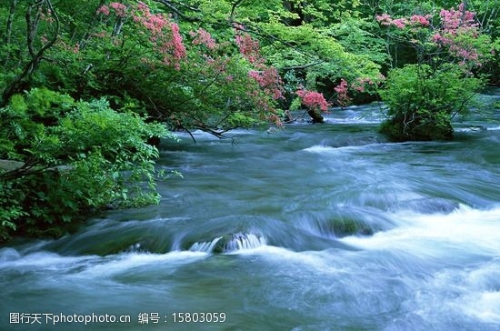 粉象生活怎么赚钱
