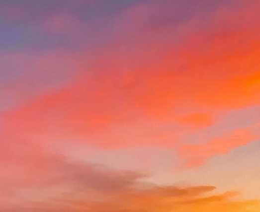 粉象生活新人奖码