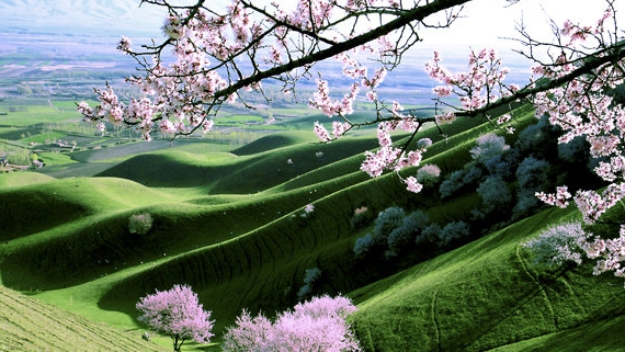 粉象生活官方APP邀请码