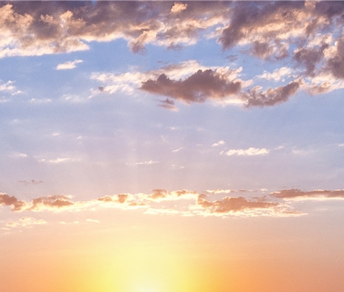 粉象生活怎么发展粉丝