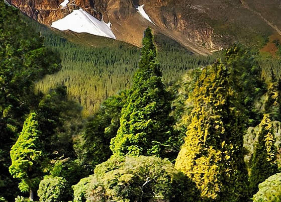 粉象生活优惠券时间