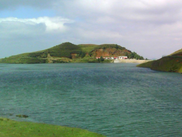 粉象生活靠什么盈利