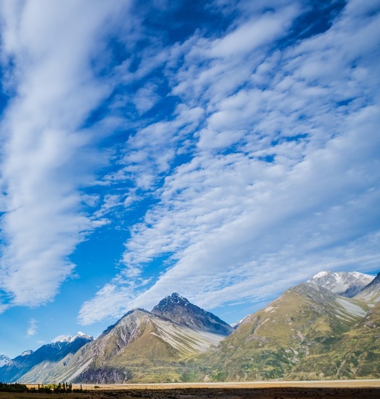 粉象生活邀请id