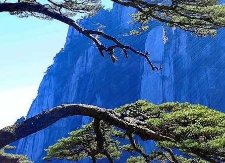 粉象生活升级会员后真的能赚钱吗