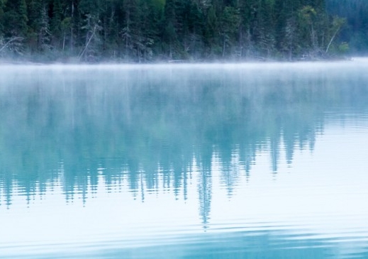 粉象生活怎么推广引流加粉丝
