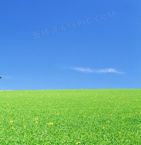粉象生活怎么获得原始邀请码