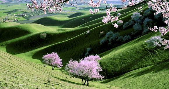 粉象生活为啥要邀请码