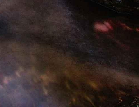 粉象生活邀请码自创