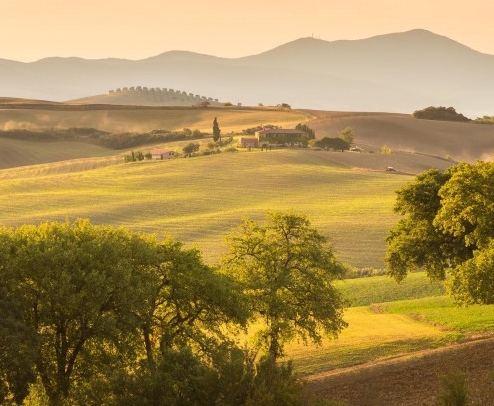 卖假货的处罚标准