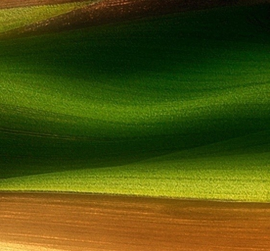 粉象生活100积分多少钱