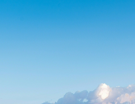 粉象生活邀请码填谁的最好