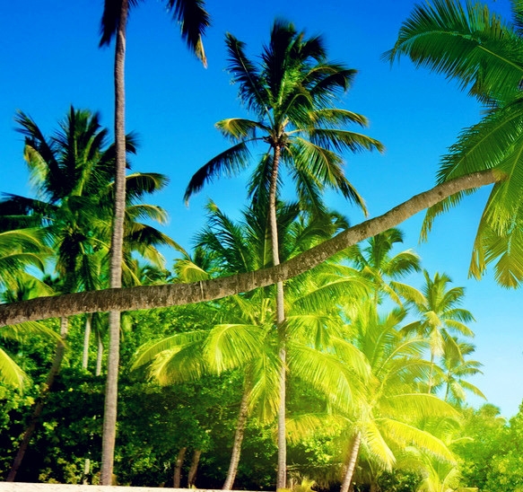 淘宝宝贝怎么上架