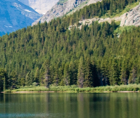芙力草莓啤酒多少度