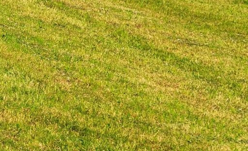 粉象生活官方网站