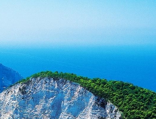 浅粉象深粉象 樱桃