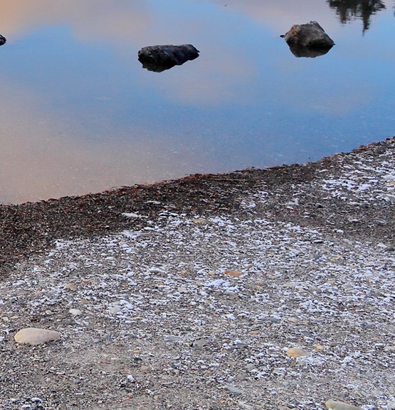粉象生活升级vip会员1年到期