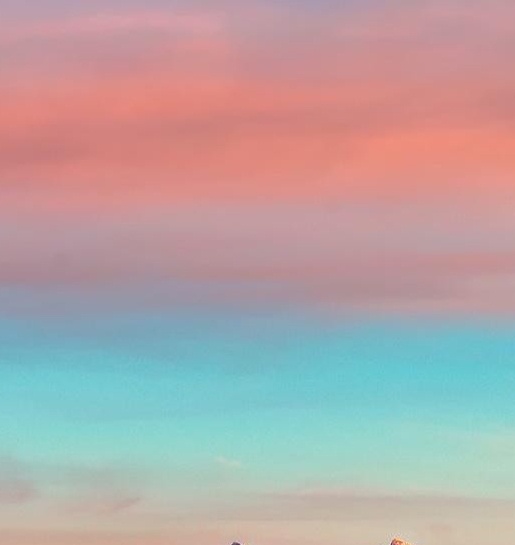 粉象啤酒包装很深