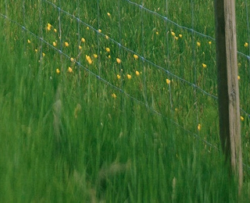 粉象生活如何推广