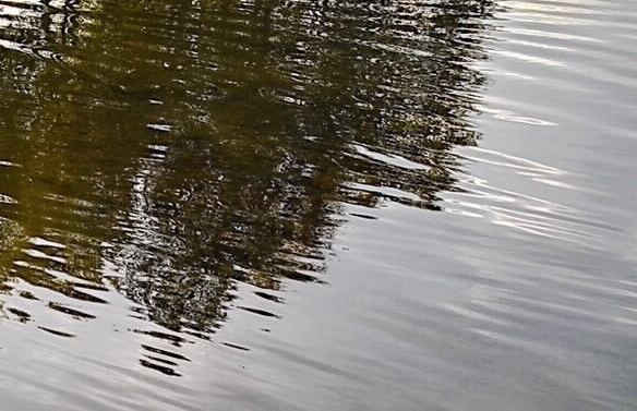 粉象相当于几瓶啤酒