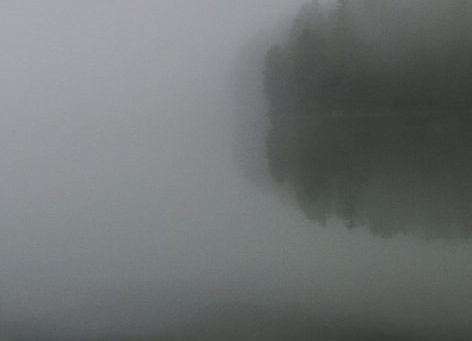 粉象生活改名字