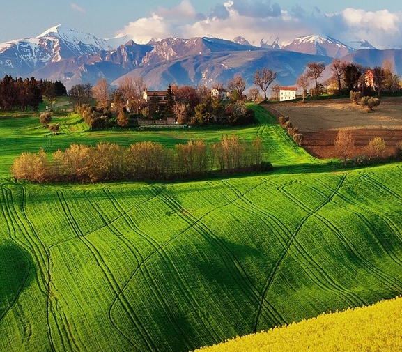 粉象丶邀请码061929田昊