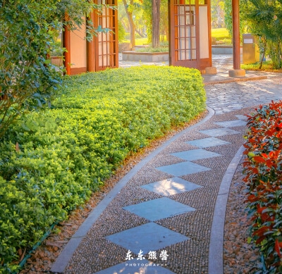 粉象是什么
