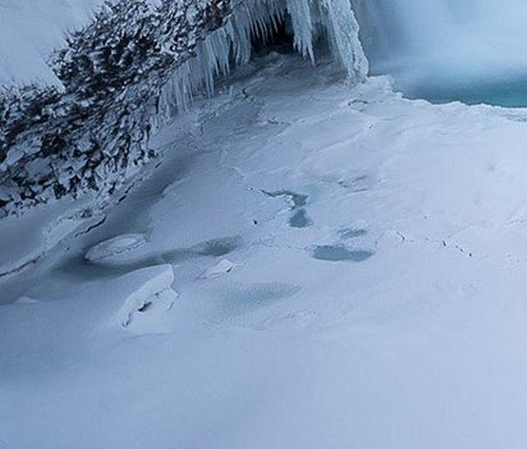 探索方可求真议论文
