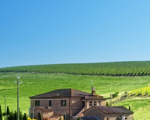 洛川粉象纯k打架事件