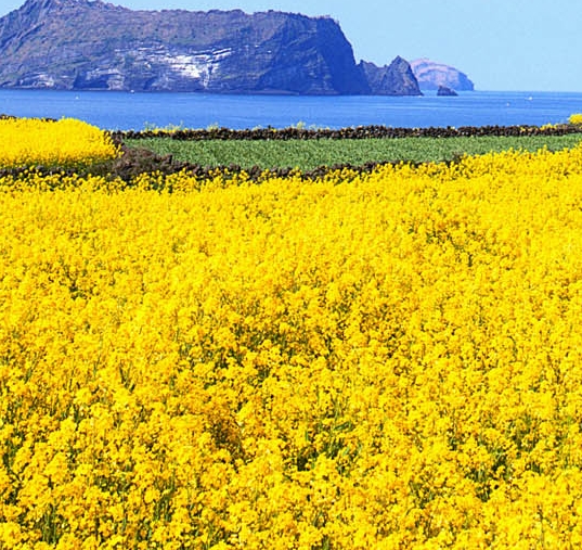 象印保温杯红胖子