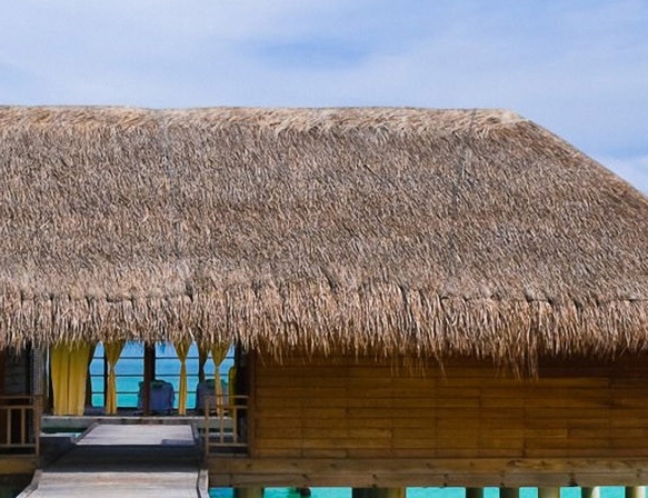 粉象生活推广文案