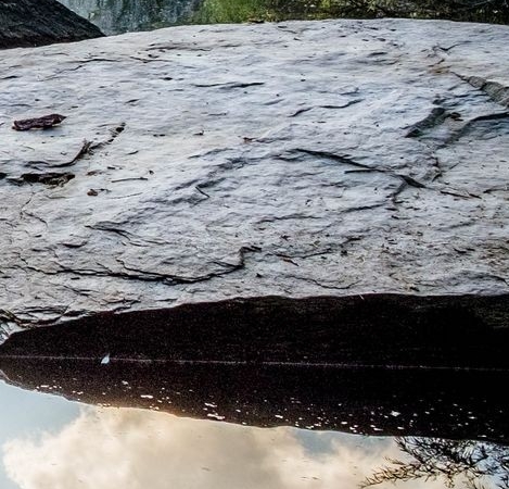 超级会员红钻联合活动官网