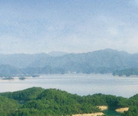 浅粉象啤酒百科