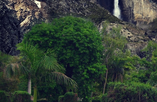 深浅粉象啤酒区别
