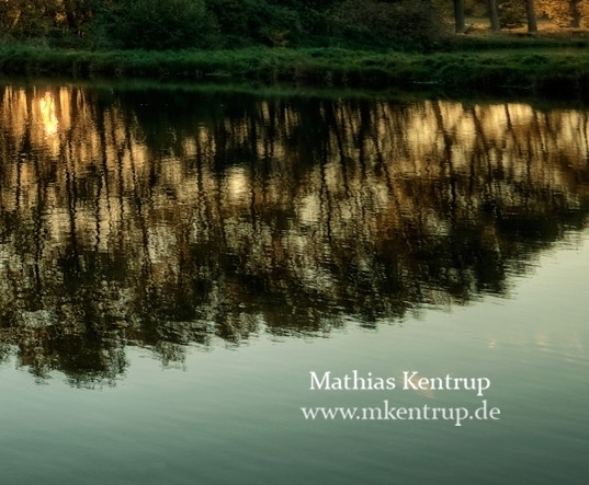 探索求真粉象生活