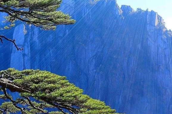 粉象生活推广引流软件